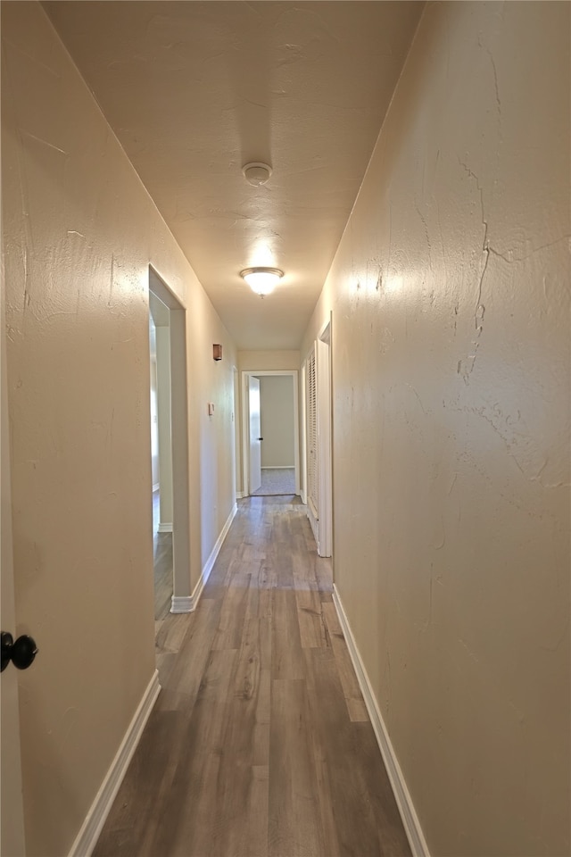 hall featuring hardwood / wood-style flooring