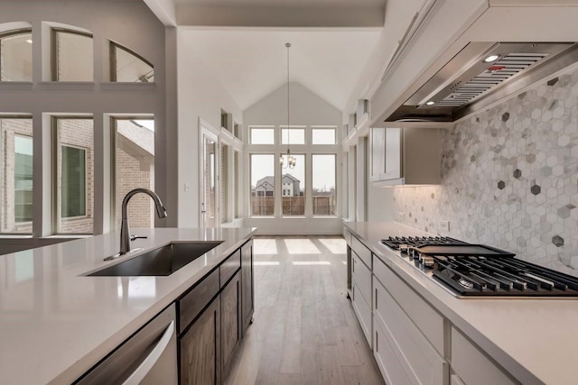 kitchen with premium range hood, stainless steel appliances, backsplash, lofted ceiling, and sink