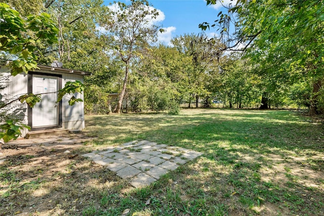 view of yard featuring a shed and a patio