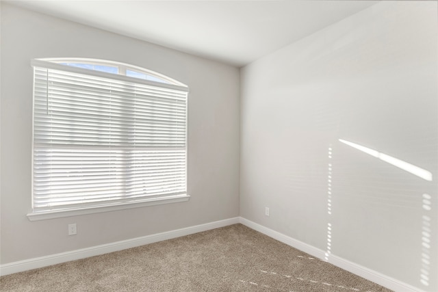 unfurnished room with carpet floors