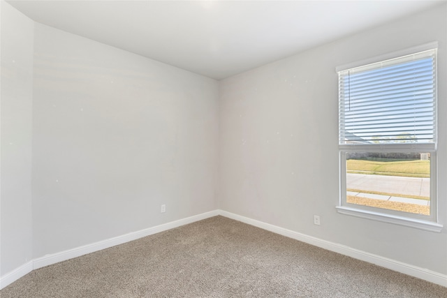 empty room with carpet flooring and a wealth of natural light