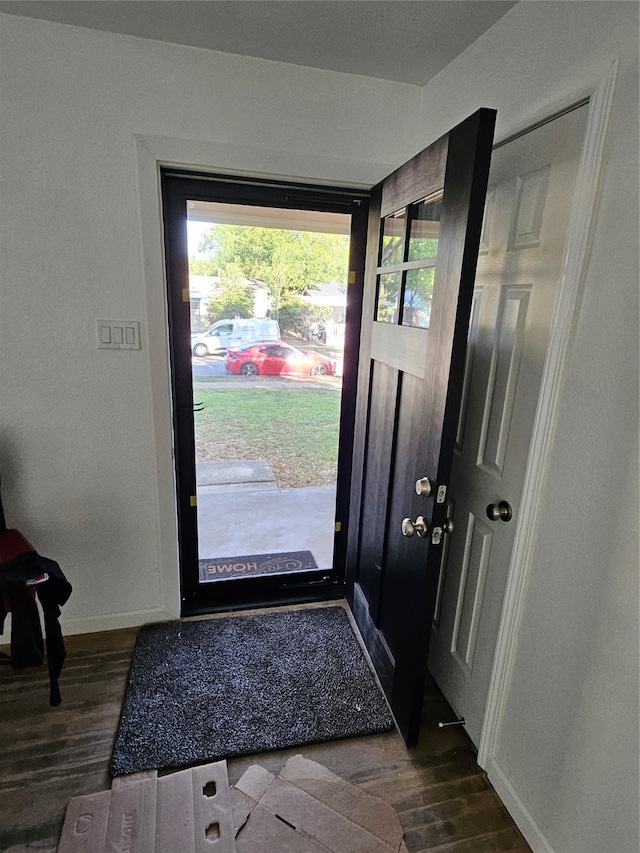 foyer featuring dark hardwood / wood-style floors and plenty of natural light