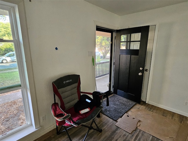 entrance foyer with hardwood / wood-style flooring