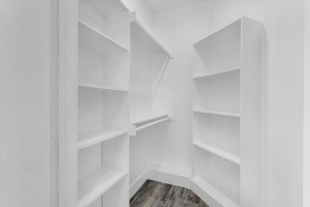 walk in closet with dark hardwood / wood-style floors