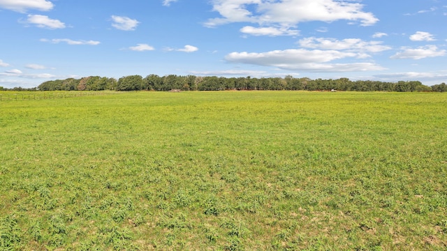 view of local wilderness featuring a rural view