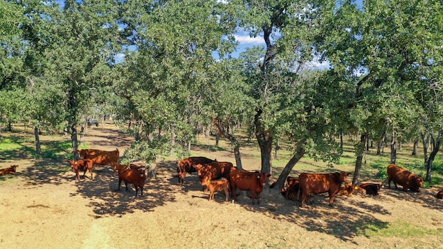 view of yard featuring a rural view