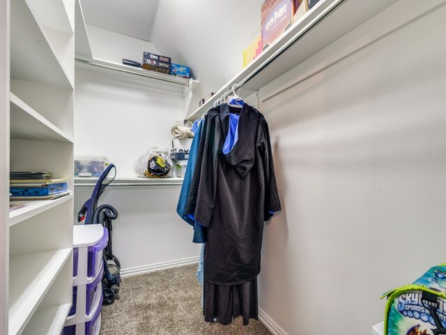 spacious closet featuring carpet