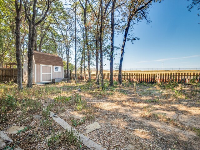 view of yard with a shed