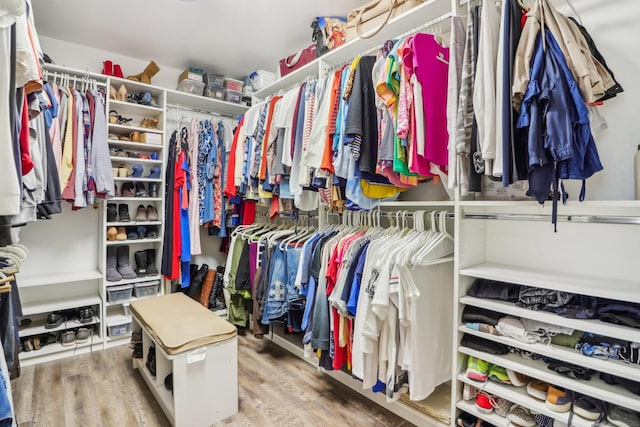 walk in closet with light wood-type flooring