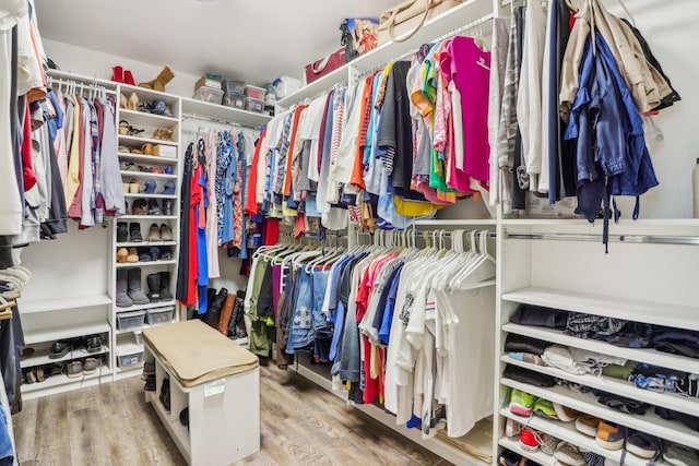 walk in closet featuring wood finished floors