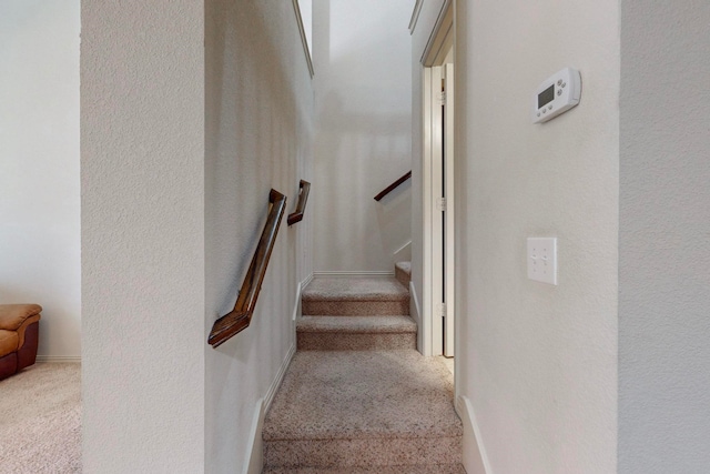 stairs featuring carpet