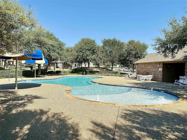 view of pool featuring a patio