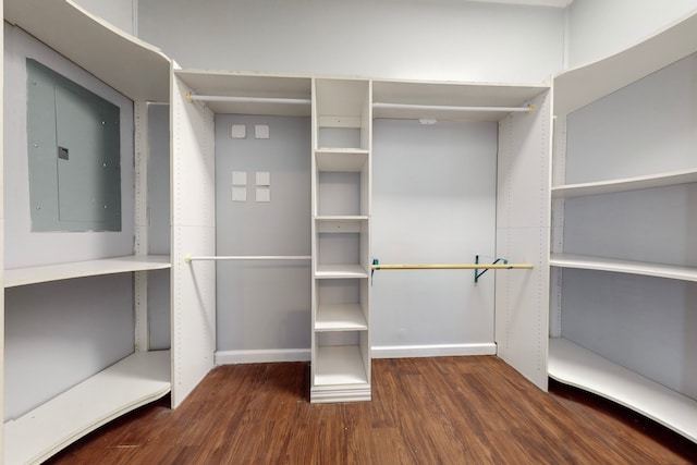 spacious closet with electric panel and dark hardwood / wood-style flooring