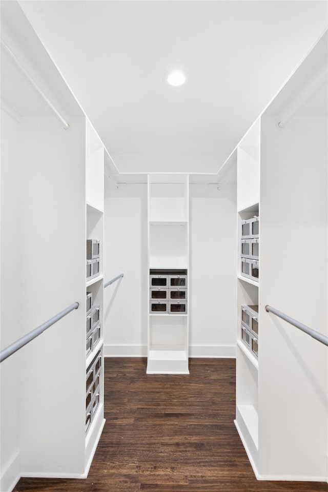 spacious closet featuring dark wood-type flooring