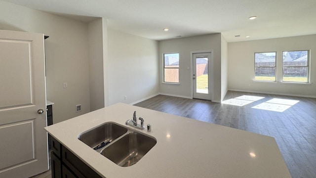 kitchen with wood-type flooring and sink