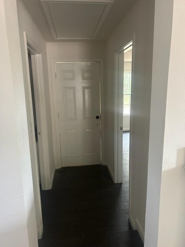 hallway with dark hardwood / wood-style floors