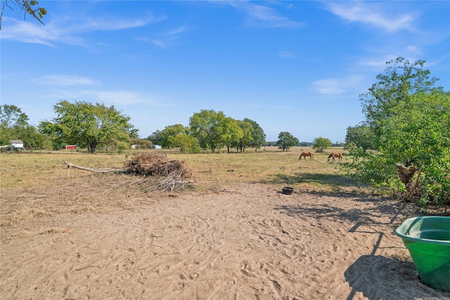 view of yard with a rural view