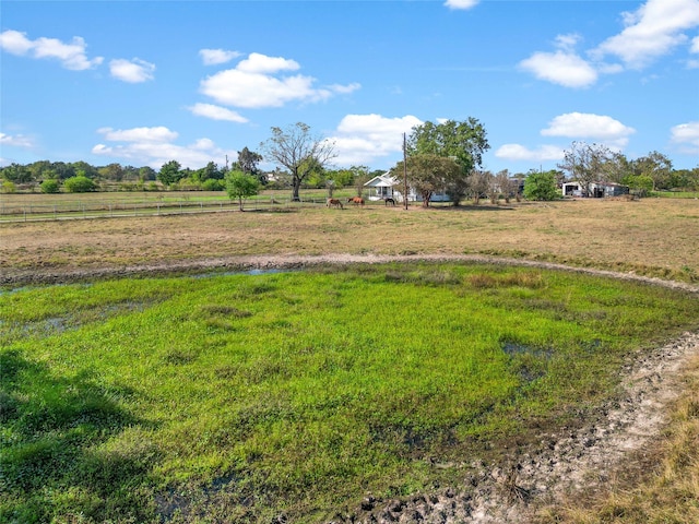 view of yard featuring a rural view