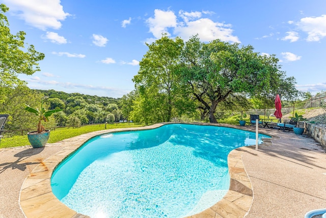 view of pool featuring a patio