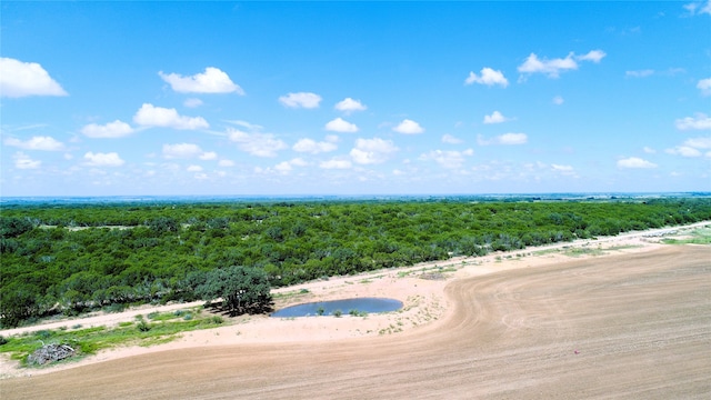 Listing photo 3 for TBD Cr 256, Coleman TX 76834