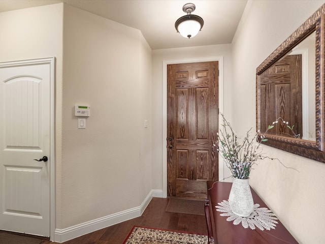 entryway featuring dark wood-type flooring