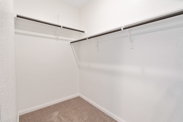 walk in closet featuring carpet