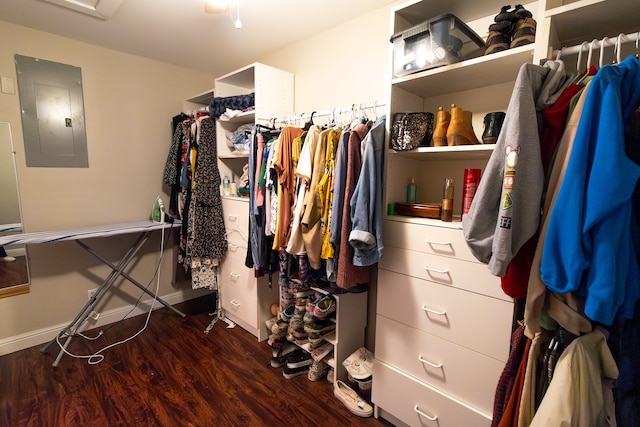 walk in closet with electric panel and dark hardwood / wood-style flooring