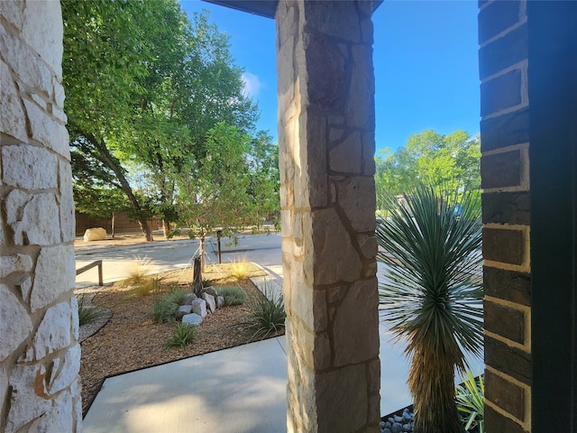 view of yard featuring a patio area