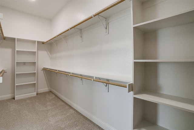 spacious closet featuring carpet floors