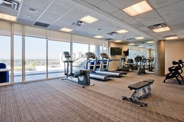 workout area with a drop ceiling, a wall of windows, and carpet