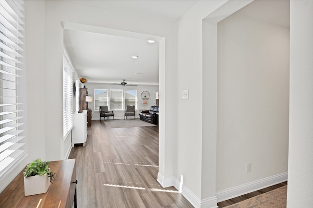 hall featuring wood-type flooring