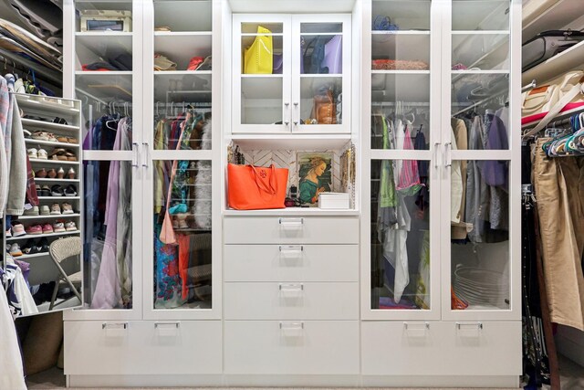 view of walk in closet