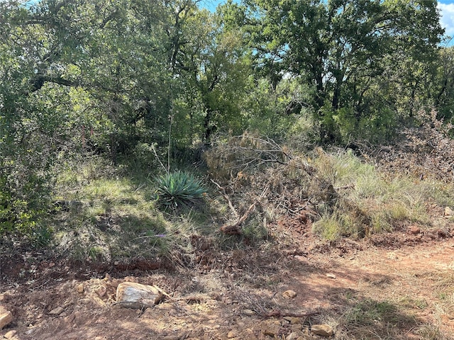 555 Oak Point Dr, May TX, 76857 land for sale