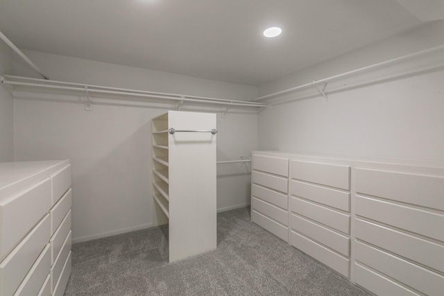 spacious closet featuring carpet