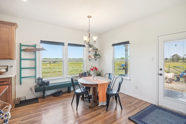 dining area featuring hardwood / wood-style floors, a wealth of natural light, and a notable chandelier