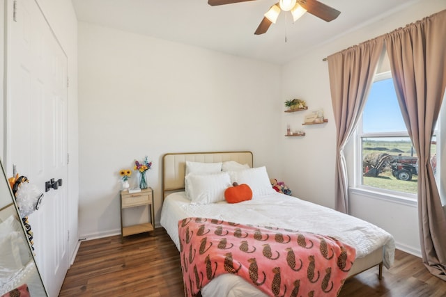 bedroom featuring multiple windows, dark wood-type flooring, and ceiling fan