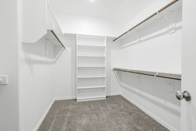 spacious closet with lofted ceiling and carpet