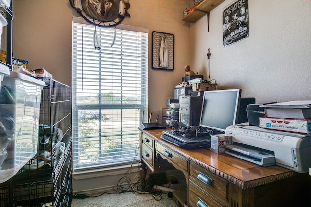 view of carpeted office