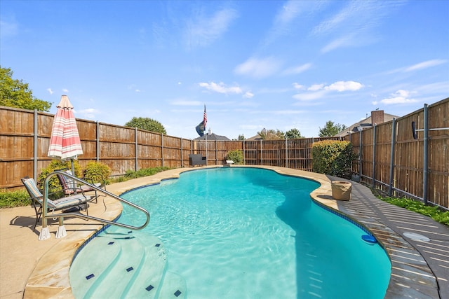 view of pool with a patio