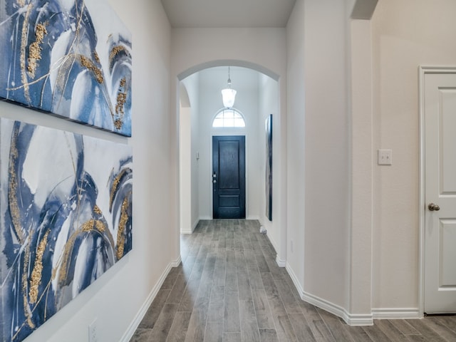 entrance foyer featuring hardwood / wood-style floors