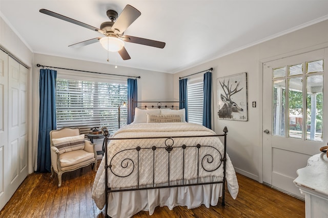 bedroom with ceiling fan, a closet, dark hardwood / wood-style floors, and crown molding