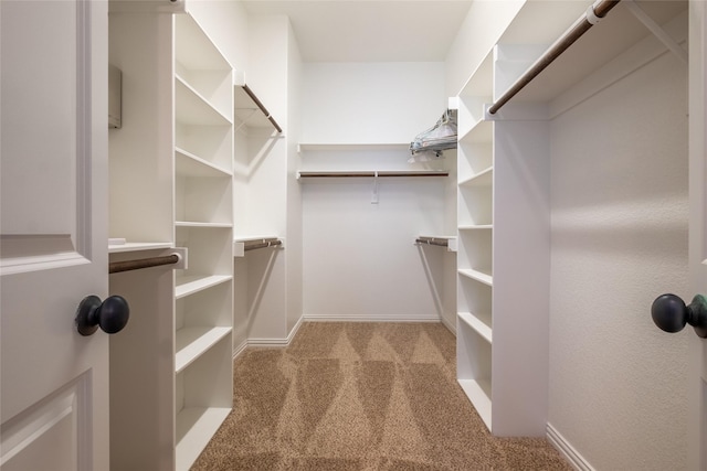 spacious closet with carpet floors
