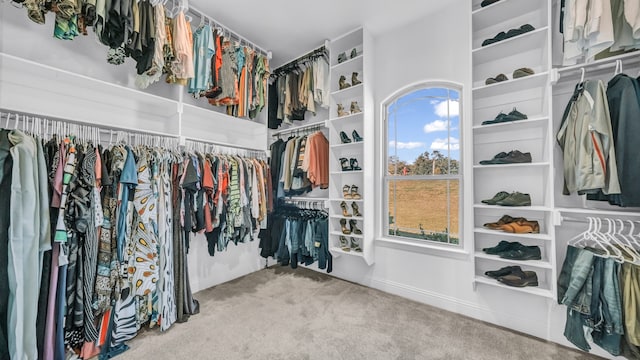 spacious closet featuring light colored carpet