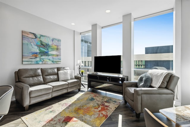 living room with expansive windows and dark hardwood / wood-style floors