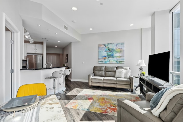 living room featuring sink and dark wood-type flooring