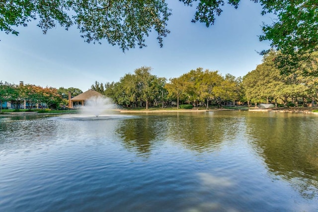 view of water feature