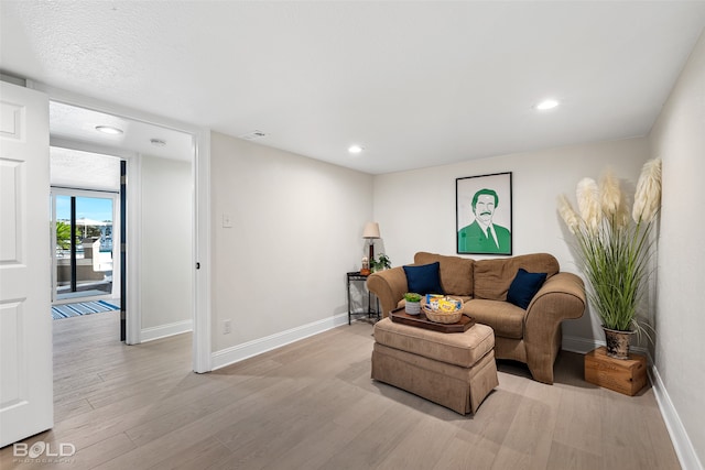 living room featuring light hardwood / wood-style flooring