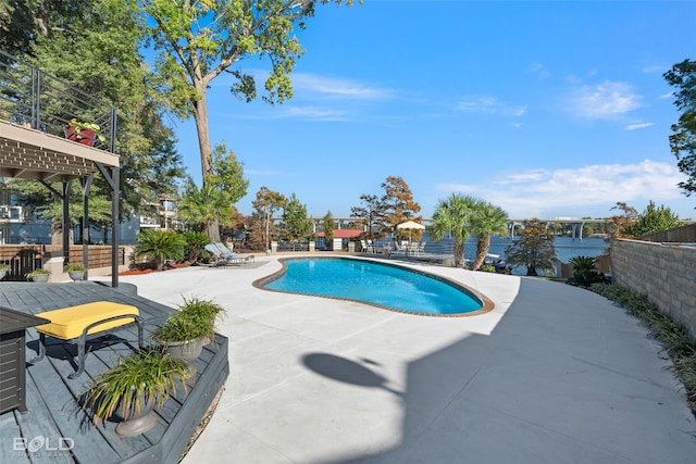 view of swimming pool with a patio