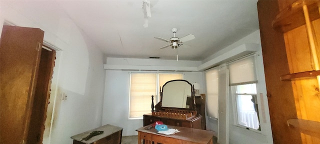 miscellaneous room featuring a wealth of natural light and ceiling fan