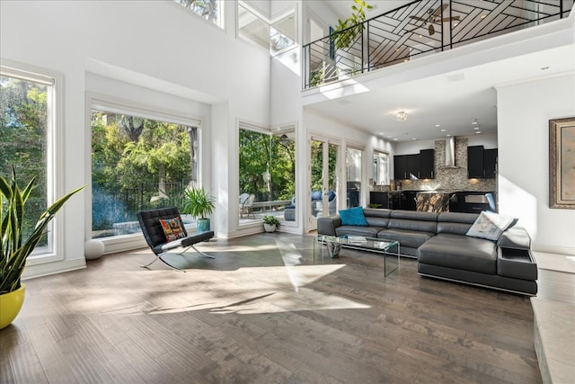 interior space featuring dark hardwood / wood-style floors and a towering ceiling